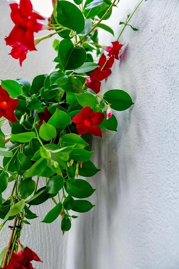 Antonella Home B&B Bari Bed & Breakfast